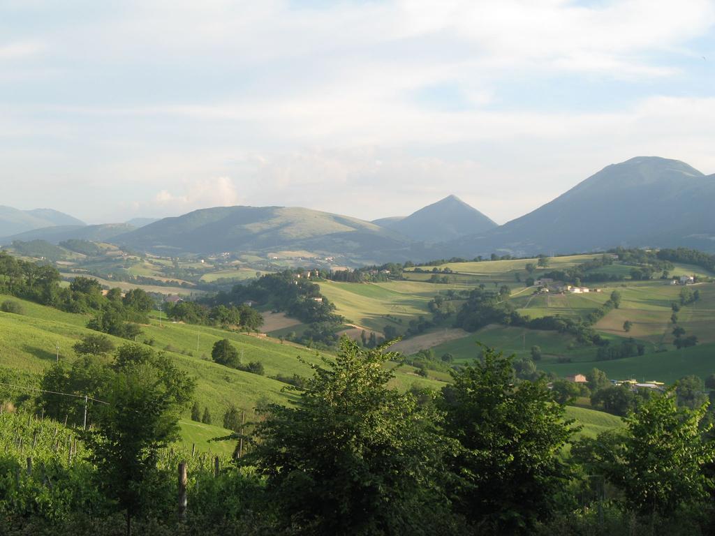 Locanda Dell'Istrice Camerino Cameră foto
